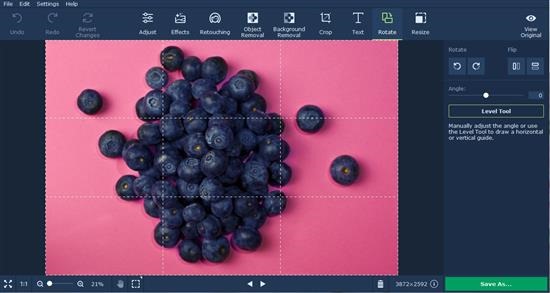 Movavi Photo Editor for Mac Review
